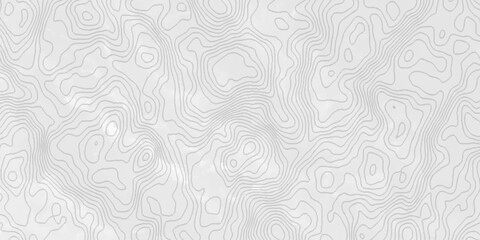 White topography topology vector white background fresh contour map texture. white seamless pattern Abstract background with a wave Topography and geography map grid abstract backdrop.