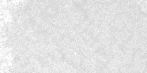 White topography topology vector white background fresh contour map texture. white seamless pattern Abstract background with a wave Topography and geography map grid abstract backdrop. © Mr Jishana