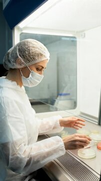 Woman handles petri dishes inside a sterile laminar flow hood while wearing protective gown, mask and cap, illustrating laboratory research and microbiology procedures in a controlled clean environmen