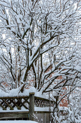 Heavy snowfall covering bare tree branches behind a residential fence on a winter day.