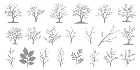 Botanical Tree and Branch Illustration Set in Grayscale