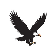 Bald Eagle in Flight with Spread Wings and Talons