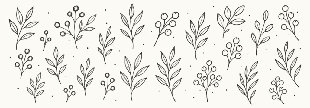 Botanical line art displays delicate leaves, berries and thin branches in monochrome. The set includes rounded clusters, tall stems, small buds
