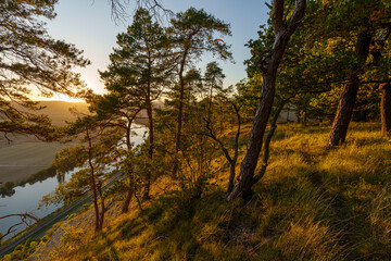 Fototapeta premium Abendlicht über dem Naturschutzgebiet Grainberg-Kalbenstein bei Karlstadt am Main, Landkreis Main-Spessart, Unterfranken, Bayern, Deutschland