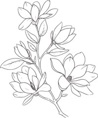 Black and white line of a flowering magnolia branch