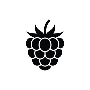 A simple black and white illustration of a ripe raspberry fruit