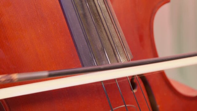 コントラバスの弦と弓の超クローズアップ.
Extreme close-up of double bass strings and bow.