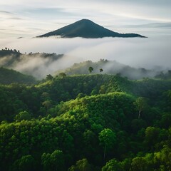 A verdant landscape featuring rolling hills with lush, green vegetation. Wisps of fog drape over the scenery, leading to a distant mountain
