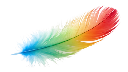 Colorful bird feather plumes, isolated on white background, display a soft, abstract texture