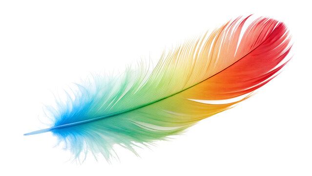 Colorful bird feather plumes, isolated on white background, display a soft, abstract texture