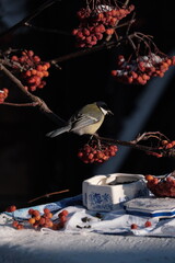 still life with red rose