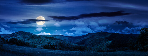 panorama of beautiful countryside in summer at night. alpine landscape with forested mountains and grassy field under sky with clouds in full moon light. finance investment or abstract concepts