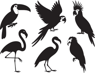 Black silhouettes of toucan flamingo cockatoo and parrots on white background bird