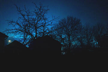 Night scene silhouettes of trees and houses in winter