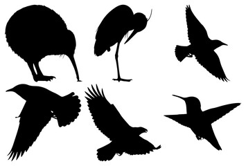 Collection of diverse bird silhouettes in various poses on white background