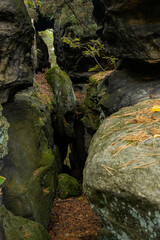 Aussichtsfelsen Stelzchen im Felsgebiet Nikolsdorfer Wände, Leupoldishain, Stadt Königstein an der Elbe, Sächsische Schweiz, Landkreis Sächsische Schweiz-Osterzgebirge, Sachsen, Deutschland