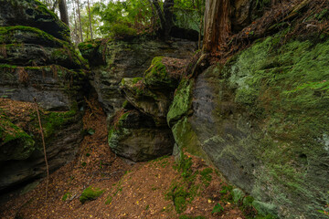 Fototapeta premium Felsgebiet Nikolsdorfer Wände zwischen dem Ort Leupoldishain und der Stadt Königstein an der Elbe, Sächsische Schweiz, Landkreis Sächsische Schweiz-Osterzgebirge, Sachsen, Deutschland