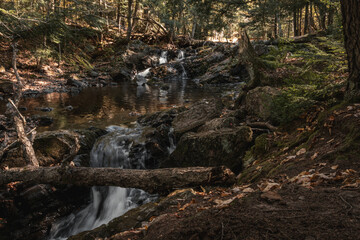 waterfall and river in the forest