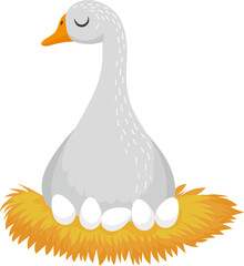 Goose incubating white eggs in a hay nest