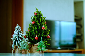 Modern appartment with 4 tiny christmas trees.