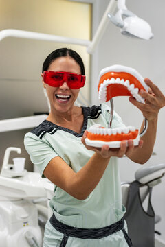Approachable dentist presenting dental model with playful education