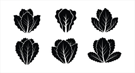 Vector Set of Black and White Lettuce Leaves Icons