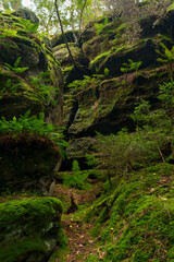Felsgebilde Teichwächter bei dem Ort Leupoldishain, Stadt Königstein an der Elbe, Sächsische Schweiz, Landkreis Sächsische Schweiz-Osterzgebirge, Sachsen, Deutschland