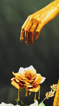 closeup female hand covered with gold paint skin touches white rose liquid gold dripping on petals. Goddess woman strokes flower with finger. Hand of Midas touch gilded. art vertical video crop short