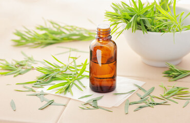 Tea tree essential oil or extract  on clay background with fresh leaves nearby, copy space, natural medicine,  natural hair and skin treatment, aromatherapy concept