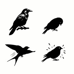 Fototapeta premium Collection of black bird silhouettes including raven, swallow, and songbirds, vector illustration.