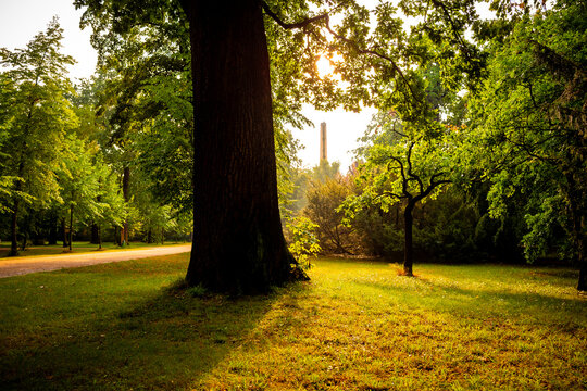 Sunset in a park in Berlin, Germany.