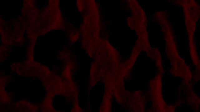 Macro video of natural sea sponge texture sequentially lit with red then blue lighting highlighting details
