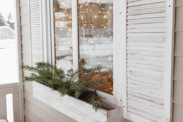 Spruce branch in white wooden box near window and closed white shutter. Christmas decoration for...
