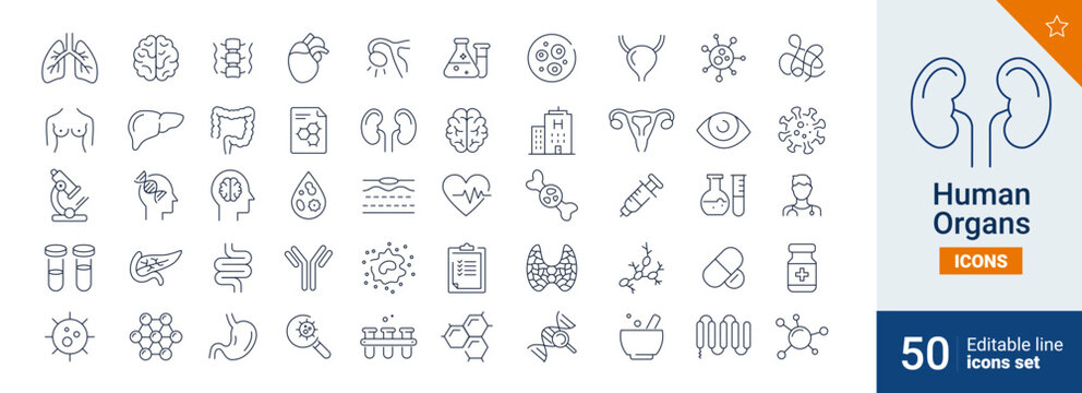 Human icons Pixel perfect. man, science, brain, ...	
