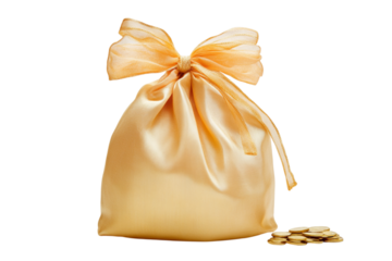Golden satin pouch filled with gold coins