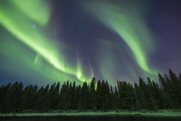 View of luminous green aurora borealis dances across the dark sky above a dense forest, reflecting in the calm waters below, Kuusamo, North Ostrobothnia, Finland.