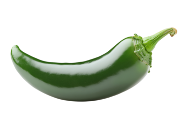 Fresh green jalapeno pepper isolated on white background