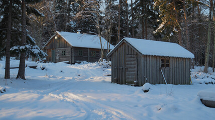 Snow blankets the cabin&rsquo;s path to the woodshed