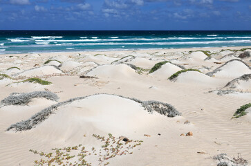 Dune landscape at Praia de Atalanta in the north of the island of Boa Vista, Cape Verde, Africa