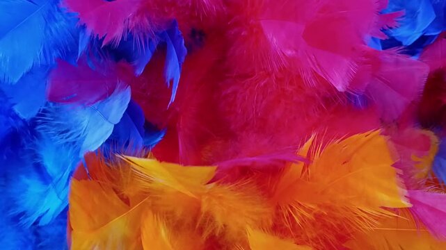 Vibrant colorful fluffy feathers texture close-up.