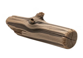 A weathered piece of driftwood with distinct grain patterns, isolated on a transparent background