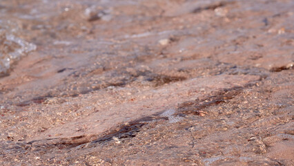 Close-up of water flowing over sandy surface with natural textures and colors