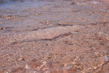 Clear water surface reflecting sunlight with gentle ripples and textures