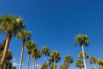 Jekyll Island along the Atlantic Coast of Georgia, United States