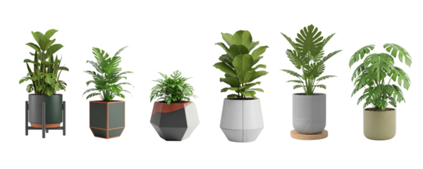 Various Decorative houseplants in modern ceramic vase collection isolated on transparent background - no back ground