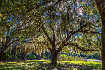 Naklejka premium Jekyll Island along the Atlantic Coast of Georgia, United States