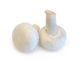 A sections of mushroom in bowl on white