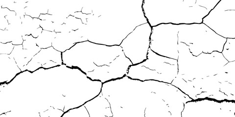 High-contrast cracked texture on a white background, featuring distressed lines and natural fracture patterns. Perfect for backgrounds, overlays, grunge design, and abstract artistic projects.