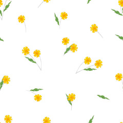 Sunny flowers. Seamless pattern of yellow flowers with green leaves on a white background. Digital drawing.