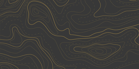Map of topographic relief lines, illustration of relief contour Topographic landscape surface Concept of conditional geography scheme terrain path Editable stroke Abstract ocean relief dark background